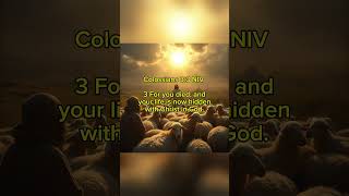 Died Corinthians 33 NIV [upl. by Nanci]