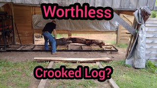 Does it exist A worthless crooked log homesteading chainsaw woodworking [upl. by Anaila505]