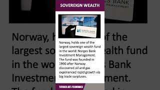 Sovereign Wealth Funds  60 Second Economics  A Level amp IB [upl. by Onailimixam]