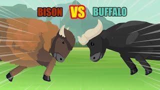 Bison vs Buffalo  Animal Tournament S1  Animal Animation [upl. by Nymsaj]