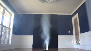 Exhale Bladeless Ceiling Fan—Full Scale Vortex Airflow Demonstration [upl. by Aiyotal]