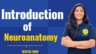 Introduction of Neuroanatomy by Dr Mitali Yadav II timesphysio [upl. by Shakti]