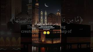 I put my trust in Allah my Allah and your Allah [upl. by Googins]