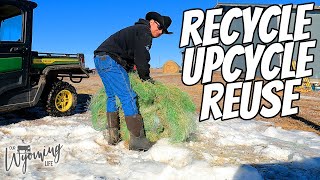 Upcycling on the Ranch [upl. by Esekram]