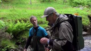 Returning to the Afon Cwm  Monitoring Fish stocks on Welsh Rivers [upl. by Alphonsa165]