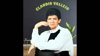 CLAUDIO VALLEJO  AMORES DE UN DIA KARAOKE 2022 [upl. by Cid]