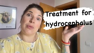 Hydrocephalus Treatment  What Are The Options [upl. by Oalsecnew]