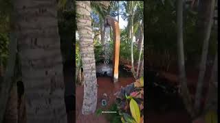 PASEO POR LOS JARDINES HOTEL FARIONES EN PUERTO DEL CARMEN vlog nature relax luxury travel [upl. by Geminius]