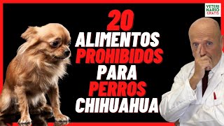 ⛔️ 20 ALIMENTOS PROHIBIDOS PARA PERROS CHIHUAHUA ⛔️ [upl. by Kathlin843]