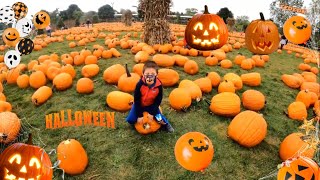 Bengtsons Pumpkin Farm Illinois  TEODORS ADVENTURES [upl. by Eentruoc]