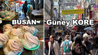 Busan Güney Kore Gezimiz 2 Bölüm  Türk Şehitliği Kore Barbeküsü Büyük Beklenti İle Gelinmemeli [upl. by Celik]