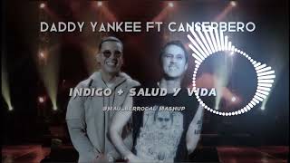 Daddy Yankee feat Canserbero  Salud y Vida Remix LIL MUSIC✓ [upl. by Reckford]