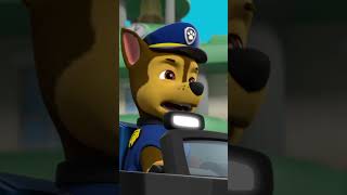 La PAW Patrol salva una torre di pizza  Nick Jr Italia [upl. by Gannes]