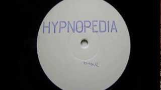 Hypnopedia  Pylorus Acidtrance 1995 [upl. by Adnert]