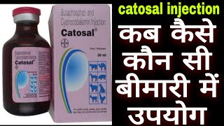 Catosal injection uses in hindi कटसल इंजेक्शन का उपयोग [upl. by Cheke]