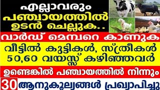 എല്ലാവരും ഉടൻ പഞ്ചായത്തിൽ എത്തുക മെമ്പറെ കാണുക 30ലധികം സഹായങ്ങൾ നഷ്ടപ്പെടുത്തരുത് ഉടൻ അവസാനിക്കും [upl. by Ntsyrk]