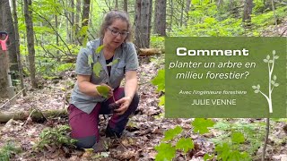 Comment planter un arbre en milieu forestier [upl. by Aeynod]