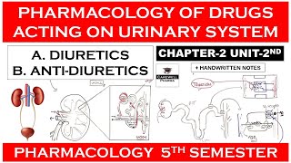 Diuretics amp Antidiuretics  Pharmacology of Drugs Acting on Urinary System  Pharmacology 5th sem [upl. by Ahseyt]