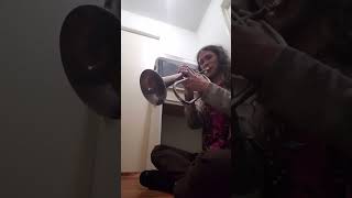 Flugelhorn vs Alto Flugelhorn [upl. by Norga]