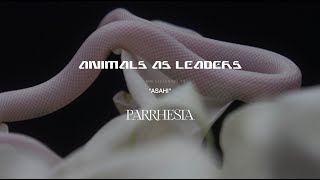 ANIMALS AS LEADERS  Asahi [upl. by Dasteel]