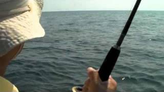 Sailfish on Shimano Baitrunner 8000D [upl. by Idac696]