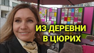 цветы в Швейцарии  прогулка по Цюрих вкусный обед с подругой [upl. by Oirevlis241]