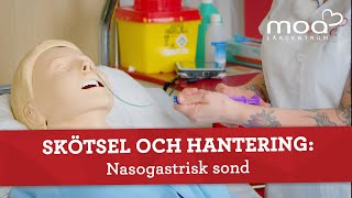 Skötsel och hantering  Nasogastrisk sond [upl. by Hazen573]