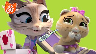 44 Cats  The puppy doctor  Pilou is afraid of the DOCTOR  Childrens Educational Videos [upl. by Karwan]