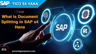 What is Document Splitting in SAP s4 Hana  Document Splitting  SAP Document Splitting Overview [upl. by Walford]