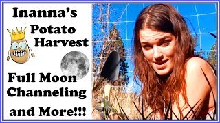 Inannas Potato Harvest Full Moon Channeling and More [upl. by Roach]