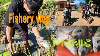 visiting fishery pond 🐠🐟 Fishery vlog fishingvideo viralvideo ordinaryvillageboy [upl. by Rudd445]