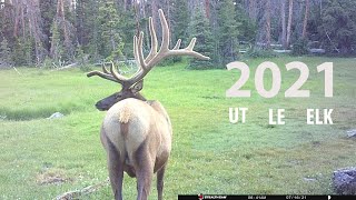 2021 LE Archery Elk Fishlake UT [upl. by Araas]