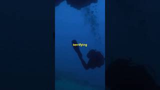 Horrible Diving Incident Byford Dolphin Decompression horrorstories scarystories scary [upl. by Eelyak]