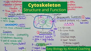 Cytoskeleton Structure and Function  Role in Motility [upl. by Oned201]