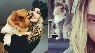 Perrie Edwards  Hatchi and Prada cute moments [upl. by Cyrano]