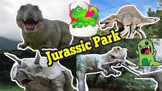 Dinosaur Jurassic Park Amusement Fun Outdoor Kids Playground paleontology archaeological Dino Eggs [upl. by Gerrard819]