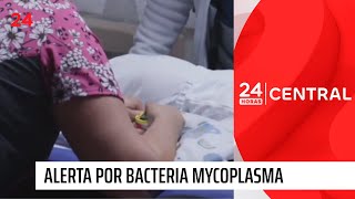 Mycoplasma brote de bacteria que afecta principalmente a niños  24 Horas TVN Chile [upl. by Ettenawtna698]