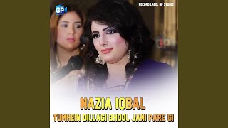 Tumhein Dillagi Bhool Jani Pare Gi [upl. by Ssilb]