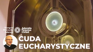 Cuda Eucharystyczne w historii O co prosi Jezus  KS DR ZIOMBRA [upl. by Etnaid]