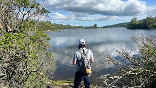 Hiking and Fishing  Joseph D Grant County Park San Jose Bass Fishing [upl. by Leggat985]