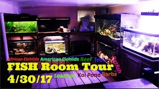 Fishroom Tour Cichlids Loaches Plants KoiEverything [upl. by Fatimah42]