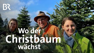 Der Weihnachtsbaum Von der Plantage bis zum ChristbaumSchmuck  Unter unserem Himmel  Doku  BR [upl. by Maya]