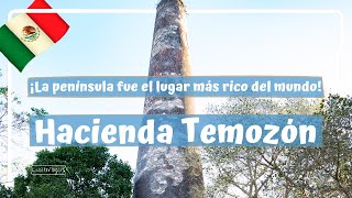 LA ENORME HACIENDA TEMOZÓN por esto fue la zona más rica del mundo  Yucatán 3 Luisitoviajero [upl. by Enomas]