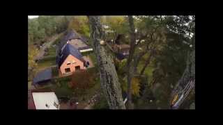 SKT Eichen Pflege mit der Go Pro Hero 3 dem ART Spider Jack und einer Stihl 201T Tree Care [upl. by Elok]