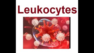 Leukocytes structure and functions  2024 [upl. by Gerardo]