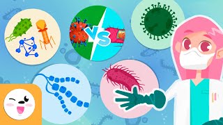 Microorganisms  Compilation Video  Bacteria Viruses and Fungi  Explanation for Kids [upl. by Currier]