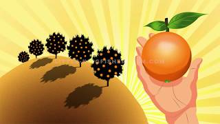 ORANGE JUICE CONCENTRATE  HOW ITS MADE ANIMATION  STOCK FOOTAGE [upl. by Ahsienauq247]