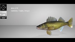 Fishing Planet  Saint Croix Lake  Unique  Walleye  Spin [upl. by Lennej]