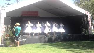 Délégation de HAWAII au PASIFIKA FESTIVAL 2015 NZ part 1 [upl. by Lewert]