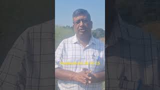 सरसों में pendimethalin 387 CS का छिड़काव agriculture farming [upl. by Stauffer661]